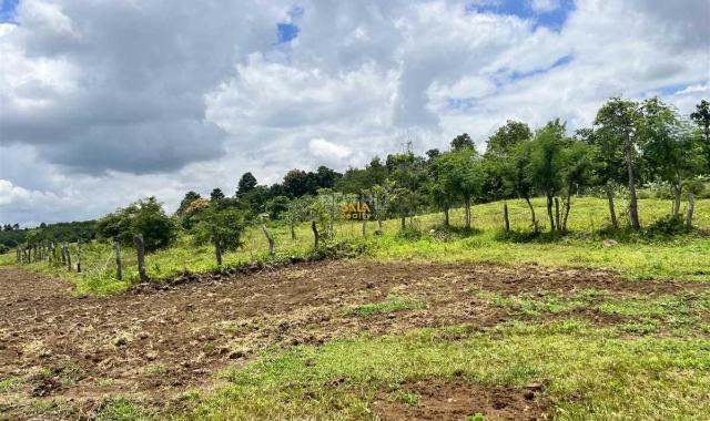 Bán Đất 2,4ha thôn 8 Cưêbur view ruộng giá rẻ 420tr/sào