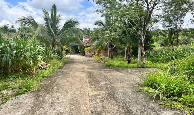 Bán Nhà vườn góc 2 mặt tiền 1,15 ha thôn 8 Cưêbur giá 650tr/sào