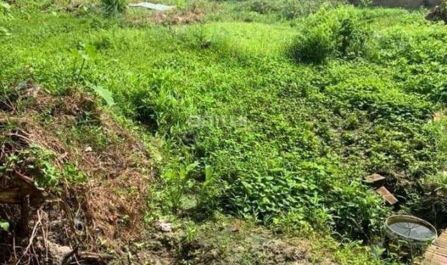 Bán đất tại Đường 4, Phường Trường Thọ, Thủ Đức, Hồ Chí Minh diện tích 700m2 giá 20 Tỷ
