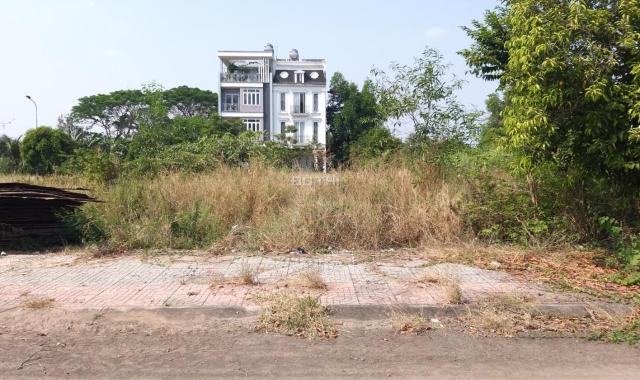 Bán đất tại Bưng Ông tHoàn p. Phú Hữu, Quận 9, Hồ Chí Minh diện tích 176m2 giá 11,8 tỷ