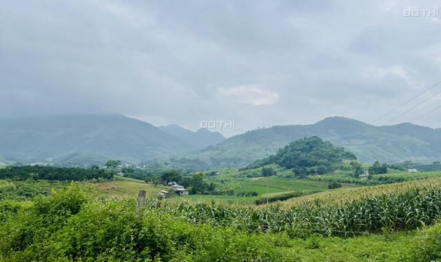 Chính chủ cắt lỗ 2825m2 đất thổ cư giá chỉ 1tỷ250tr tại Cao Phong, Hòa Bình