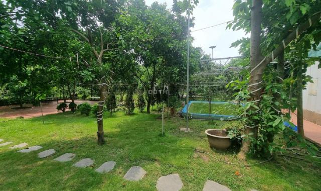 Cho thuê Nhà Vườn ở An Dương 3400m2 đẹp đúng như ảnh về nghỉ dưỡng tuyệt vời
