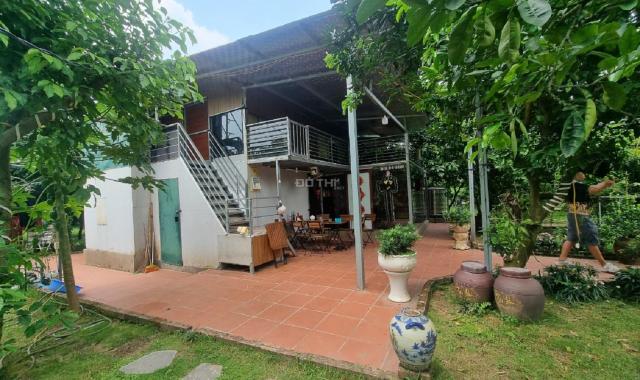 Cho thuê Nhà Vườn ở An Dương 3400m2 đẹp đúng như ảnh về nghỉ dưỡng tuyệt vời