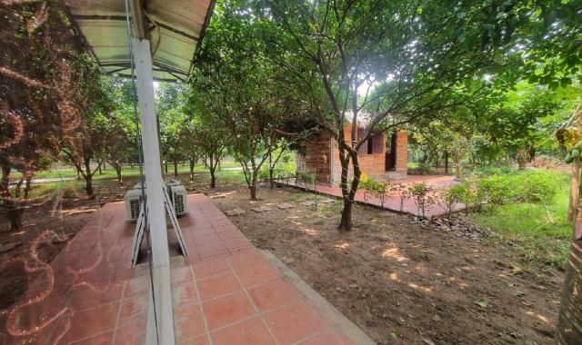 Cho thuê Nhà Vườn ở An Dương 3400m2 đẹp đúng như ảnh về nghỉ dưỡng tuyệt vời