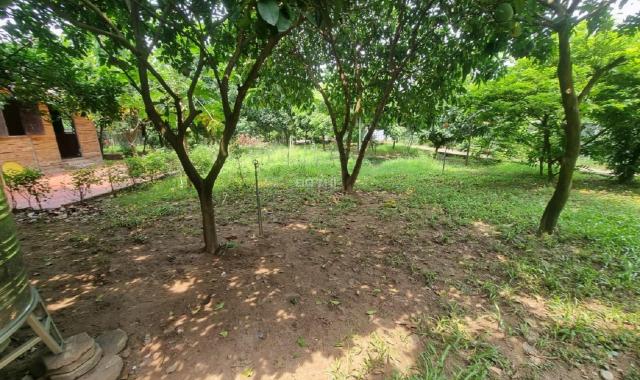 Cho thuê Nhà Vườn ở An Dương 3400m2 đẹp đúng như ảnh về nghỉ dưỡng tuyệt vời