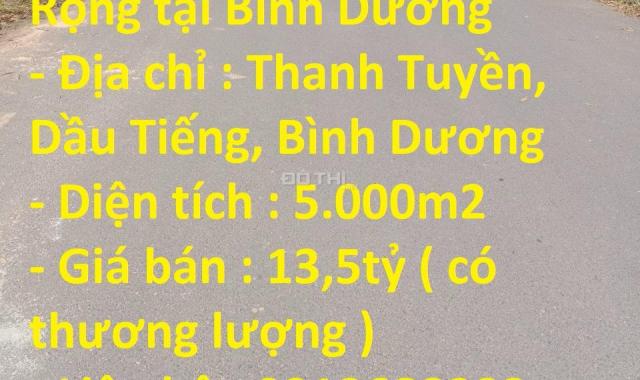 Bán đất tại Xã Thanh Tuyền, Dầu Tiếng, Bình Dương diện tích 5000m2