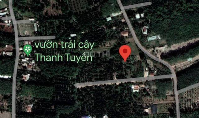 Bán đất tại Xã Thanh Tuyền, Dầu Tiếng, Bình Dương diện tích 5000m2