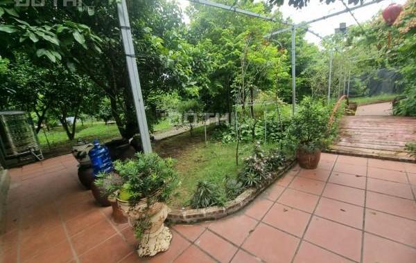 Cho thuê nhà Vườn An dương 3300m2 đẹp đúng như ảnh ở làm homestay