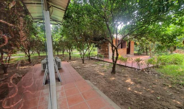 Cho thuê nhà Vườn An dương 3300m2 đẹp đúng như ảnh ở làm homestay