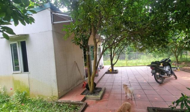 Cho thuê nhà Vườn An dương 3300m2 đẹp đúng như ảnh ở làm homestay