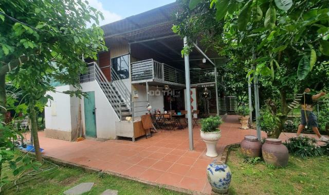 Cho thuê nhà Vườn An dương 3300m2 đẹp đúng như ảnh ở làm homestay