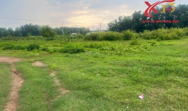 Bán đất xây dựng nhà xưởng(SKC) 10.000m2 giá 22 tỷ- Thiện Tân-Vĩnh Cửu