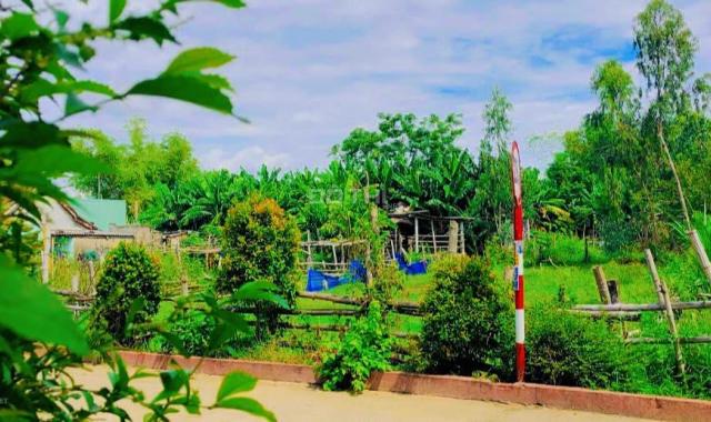 Lô đất nền Phú Mỹ Trục chính ,-Đại Hiệp,Đại Lộc ,Quãng Nam. Gía 390 triệu. Diện tích 113 m2. Liên h