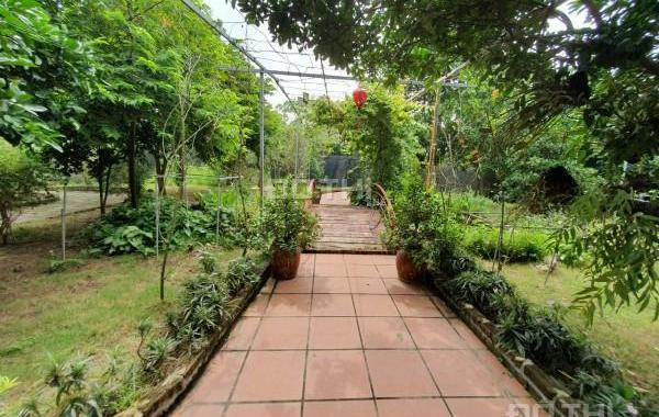 Cho thuê Nhà Vườn Tứ liên 330m2 làm Homestay hoặc nghỉ dưỡng đẹp như ảnh
