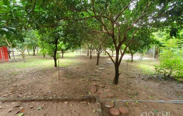 Cho thuê Nhà Vườn Tứ liên 330m2 làm Homestay hoặc nghỉ dưỡng đẹp như ảnh