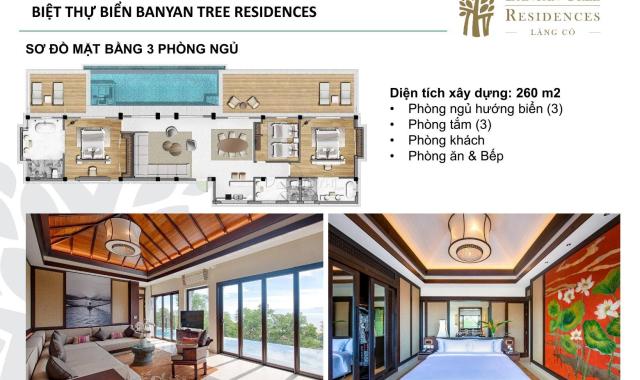 Mở bán Siêu biệt thự nghỉ dưỡng 1551m2, trên đỉnh đồi, tựa Rừng Hướng Biển Banyan Tree Lăng Cô Huế