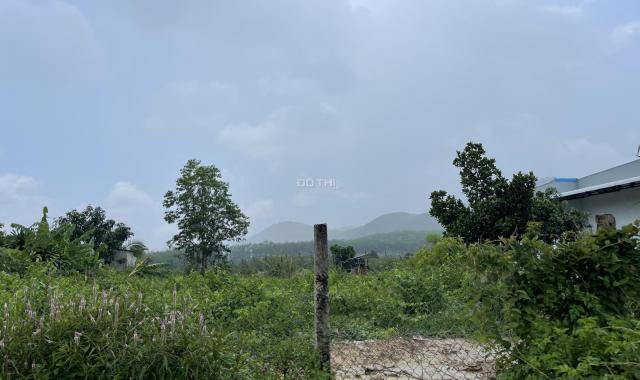 Bán 13.3 x 56 đất THỔ CƯ Đường 600A - Huyện Tân Phú GIÁ MỀM 190TR/M NGANG