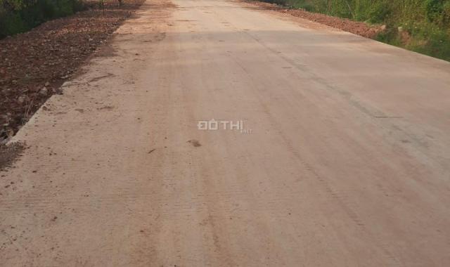 Cho thuê nhà nguyên căn + bãi đất trống làm xưởng sản xuất, kho bãi vận chuyển