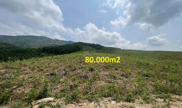 Bán 8 hecta đất mặt tiền hơn 300m đường betong gần trung tâm huyện Khánh Vĩnh LH 0788.558.552