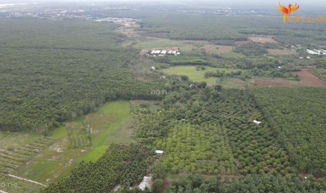 Bán 1 hecta , hoà bình, xuyên mộc, BRVT