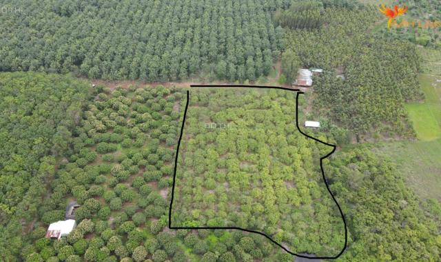 Bán 1 hecta , hoà bình, xuyên mộc, BRVT