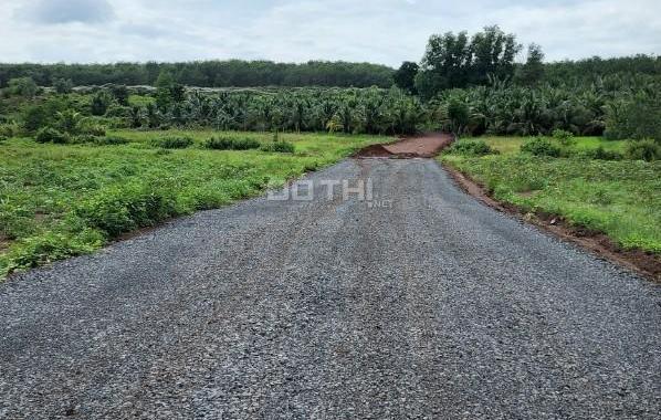 Bán 1 hecta , hoà bình, xuyên mộc, BRVT