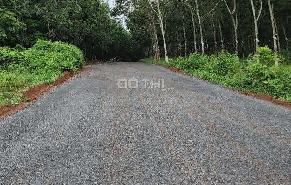 Bán 1 hecta , hoà bình, xuyên mộc, BRVT