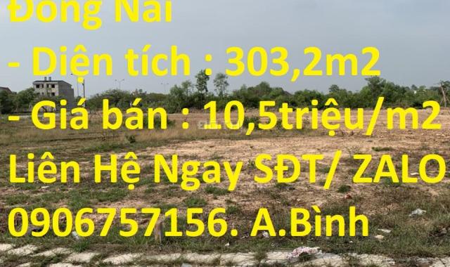 Bán đất tại Xã An Phước, Long Thành, Đồng Nai diện tích 303m2