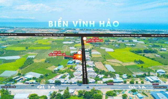 Đất nền tại Phước Thể, Bình Thuận - Đầu tư tuyệt vời cho tương lai của bạn