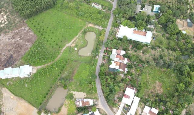 Bán vườn Sầu Riêng 15.000m2 có sẵn nhà yến đã cho khai thác đường Tỉnh Lộ 2 huyện Khánh Vĩnh