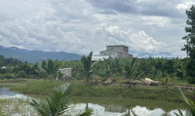 Bán vườn Sầu Riêng 15.000m2 có sẵn nhà yến đã cho khai thác đường Tỉnh Lộ 2 huyện Khánh Vĩnh