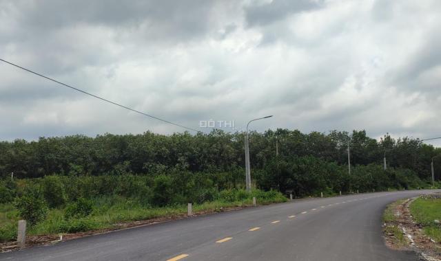 Bán 50 x 167 đất RẺ NHẤT Đường BE 129 - Phú Bình - huyện Tân Phú 160tr/m ngang