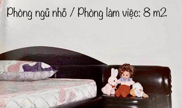 Bán căn hộ chung cư mặt tiền đường Nguyễn Tri Phương quận 5, đối diện BV NTP, cách 900m ĐH Kinh Tế