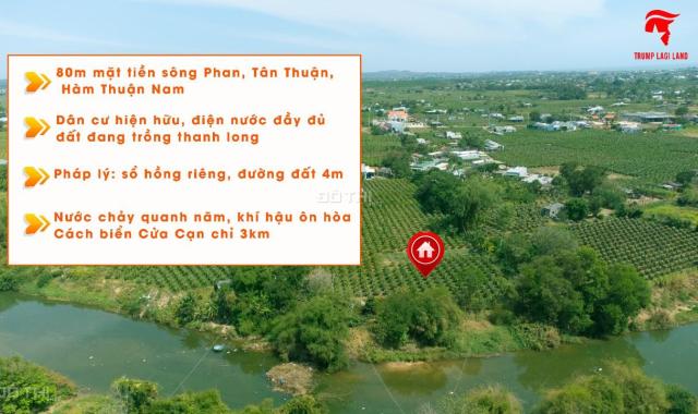 Bán Gấp 2034m mặt tiền Sông Phan, Hàm Thuận Nam, Bình Thuận. Giá NGỢp, sổ riêng