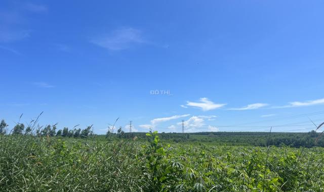 Bán 4.2 mẫu đất GIÁ RẺ Tân Xuân - Huyện Hàm Tân 1.1 tỷ/ mẫu, gần KDC
