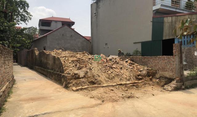 Bán gấp lô đất xóm Gà Cổ Loa Đông Anh giá rẻ oto đỗ tận đất