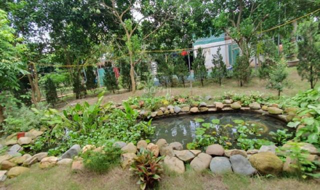 Cho thuê Biệt thự ở Tứ Liên 3500m2 nghỉ Dưỡng hoặc làm homestay đẹp như ảnh