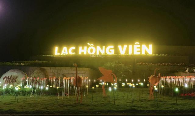 KHÔNG GIAN LUNG LINH LẠC HỒNG VIÊN HOÀ BÌNH