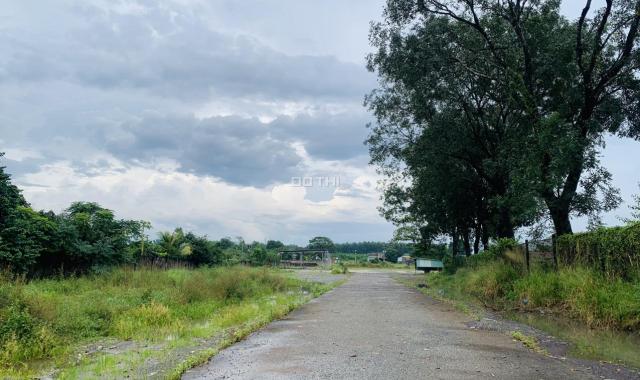 Cho thuê 20.000 m2 đất đường Võ Nguyên Giáp, phường Phước Tân giá rẻ chỉ 160 triệu/tháng