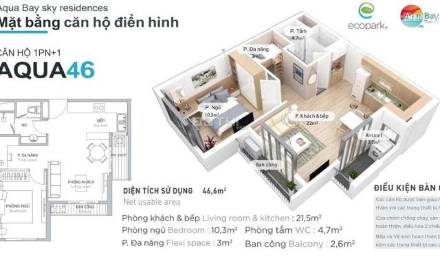 Bán căn hộ 1PN +1, 46m2 sử dụng , chung cư Aqua Bay Ecopark - Giá rẻ nhất thị trường 1 tỷ 3