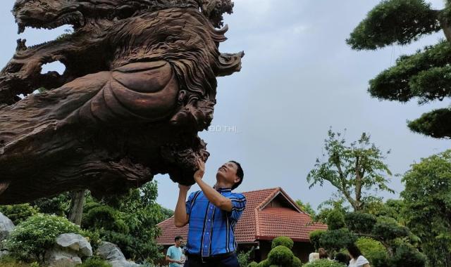 Bán gấp giá rẻ căn hộ Bùi Ngọc Dương 15m, tầng1, mặt tiền 2.2m, 665 triệu Hai Bà Trưng