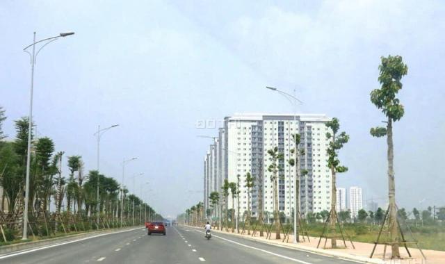 Biệt thự 200m2 khu B2.2 KĐT Thanh Hà Cienco5 cần bán