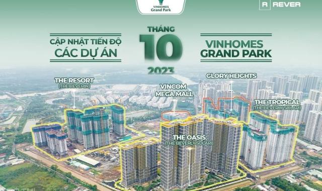 Tổng kho hàng chuyển nhượng giá giật mình chỉ từ hơn 1.2tỷ/căn tại Vinhomes Grand Park quận 9, HCM