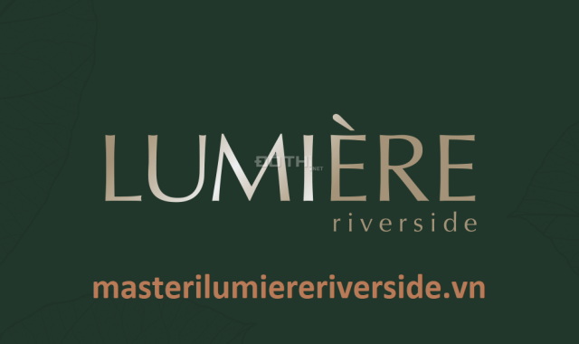 Giá thật - giá tốt nhất. Giỏ hàng hơn 300 căn hộ chính chủ Lumiere Riverside T11/2023.