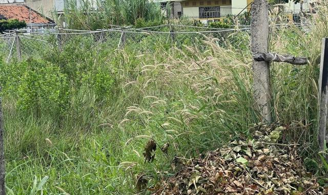 Cần Bán Lô Đất Ở Đô Thị Huyện Long Điền, Bà Rịa – Vũng Tàu