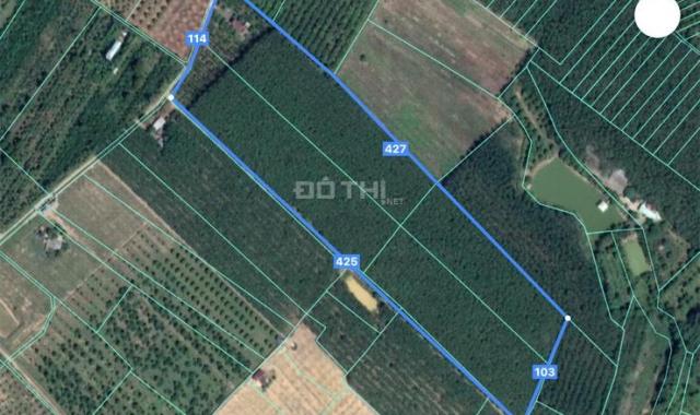 ☘️ Bán gấp 4.4 hecta gần nhà thờ Phú Lý,Vĩnh Cửu,Đồng Nai 380tr/sào ✅ Diện tích 44.000m2 (103x430m)