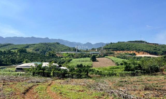 Bán đất sổ đỏ 1731m2 có 400m2 thổ cư. Giá 495 triệu cả mảnh tại Phú Vinh Tân Lạc- Hòa Bình