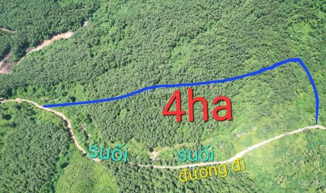 Bán đất có Suối quanh năm rộng 4 hecta giá chỉ 750tr xã Ninh Tây, Ninh Hoà LH 0788.558.552