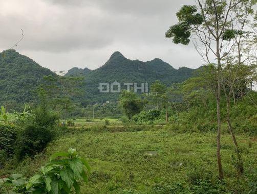 👉 Hot: ( 1.5 Tỷ) 3437m Có 2570m Đất Ở, 867m Vườn, Có 2 Ao Đẹp, View Cánh Đồng