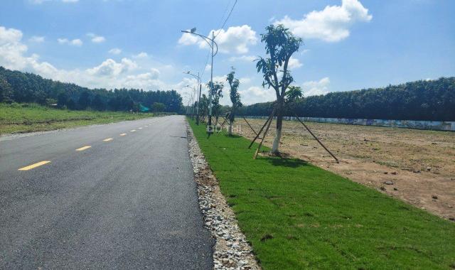 Bán đất tại Đường Quốc lộ 14, Xã Minh Thắng, Chơn Thành, Bình Phước diện tích 200m2 giá 350 Triệu